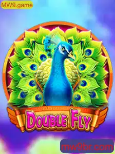 DoubleFly: Uma Imersão no Universo de MW9.game