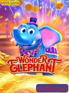 Tudo Sobre WonderElephant: Mergulhando no Envolvente Mundo de MW9.game